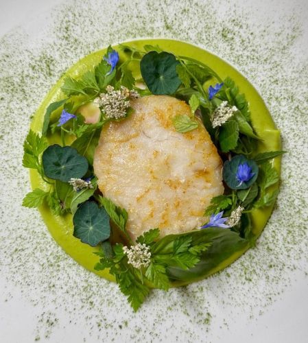 Menu Découverte en 4 Plats