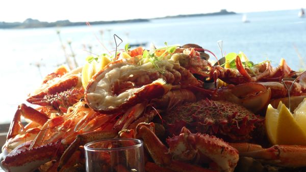 LE PLATEAU DE FRUITS DE MER ROYAL