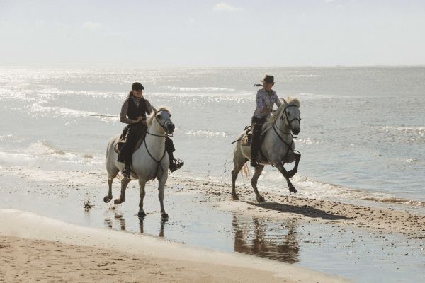 Balade à cheval IMMERSION pour 2