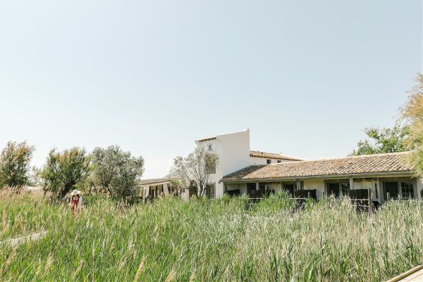Journée bien - être en camargue